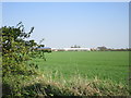 View towards Langlands Nurseries