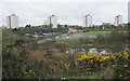 View across the Cleddans Burn wetland