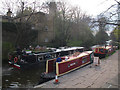 SE1338 : Lady Teal at Saltaire by Stephen Craven
