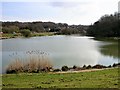 Wishing Tree Reservoir by Crowhurst Road