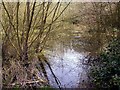 Pond to north of Darwell Close, St Leonards-on-Sea