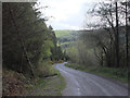 Forest Track near Clogwyn-brith