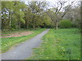 Coulsdon Common:  Path leading  to Old Lodge Lane