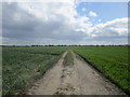 Farm track off Barmby Ferry Road