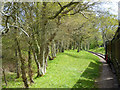 Lineside, Isle of Wight Steam Railway