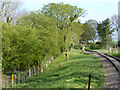 Railway approaching Ashey station