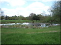 Pond, Monken Hadley Common