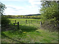 Field entrance off Warrengate Lane