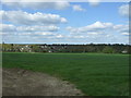 Grazing north of Hawkshead Lane