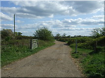 TL2506 : Farm track (footpath) off Wildhill Road by JThomas