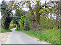 Lane north-east from Blackmore End