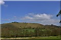 Cerne Abbas Giant 2