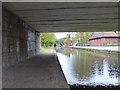 Under the Groveland Bridge