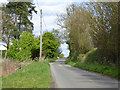 Lane towards Borley Green