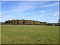 Poundon footpath