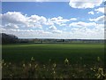 Footpath across fields