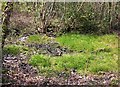 Almost dried up pond in middle of Ward