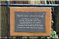 TQ5839 : Princess Anne's Oak by N Chadwick