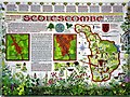 Display panel commemorating centenary of Sedlescombe parish