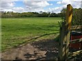 Playing field on the edge of Braunstone