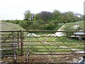 Old chalk pit