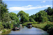 SK0120 : Trent and Mersey Canal near Bishton, Staffordshire by Roger  D Kidd