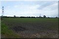 SE6950 : Farmland near Low Barns Farm by DS Pugh