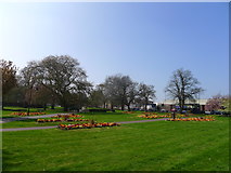 TF6219 : St James Park, King's Lynn by Tim Heaton