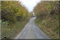 Narrow Devon Lane