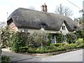 Thatch at East Sharcott [2]