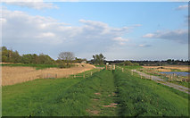 TM4992 : Looking back along Angles Way, Carlton Marshes by Roger Jones