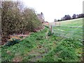 Path in Falkland