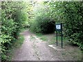 Footpath, Edenbridge Millennium Wood