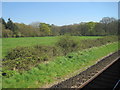 View from a Southampton-Salisbury train - Farmland near Awbridge