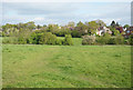 Footpath off Galley Lane