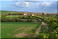 View across fields to Sneaton Thorpe