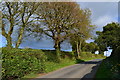 Pasture Field Lane climbing out of Ugglebarnby