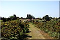 Footpath on Thorpeness Common