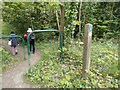 Path through Oxhey Woods, Oxhey