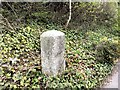 Boundary Stone, Maidstone Road, Bridgewood