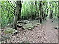 Sarsen Stones, Walderslade Woods