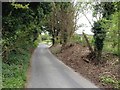 Lower Warren Road, near Blue Bell Hill