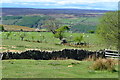 NZ8303 : View on Arundel Hill by David Martin