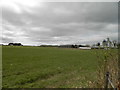 Farmland at Newmiln