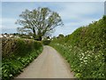 Farleigh Lane, Cromhall