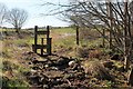 Roadside Stile