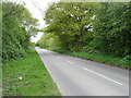 The lane to Steppingley