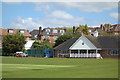 Green Grass on the Cricket Pitch