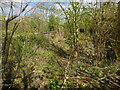 Shennington-Abandoned Road Bridge