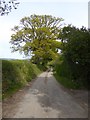 Road down Tinpit Hill